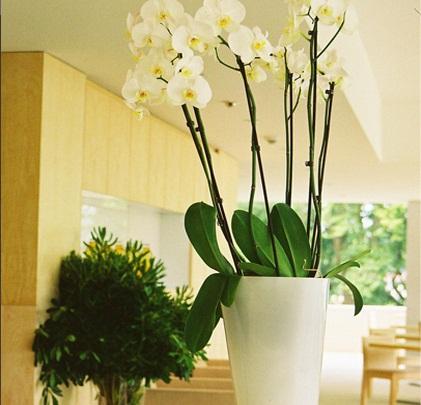 Inlima Hotel & Spa Ponte de Lima Wnętrze zdjęcie